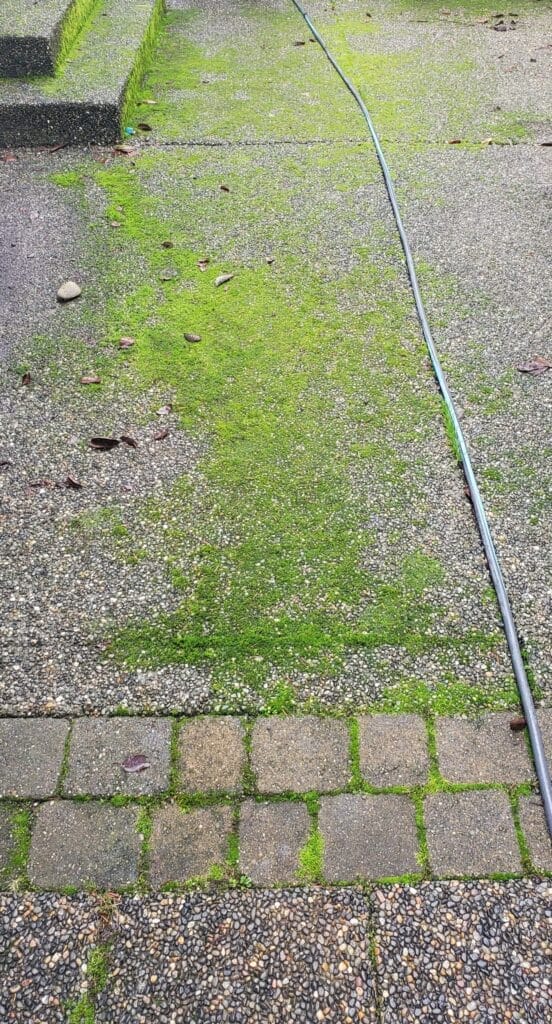 PNW Moss Removal providing expert roof and exterior cleaning services in the Pacific Northwest.