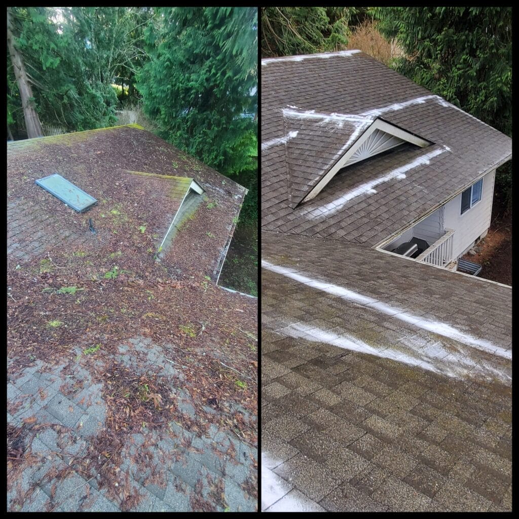 Before and after roof cleaning Kitsap County, Moss removal results Puget Sound