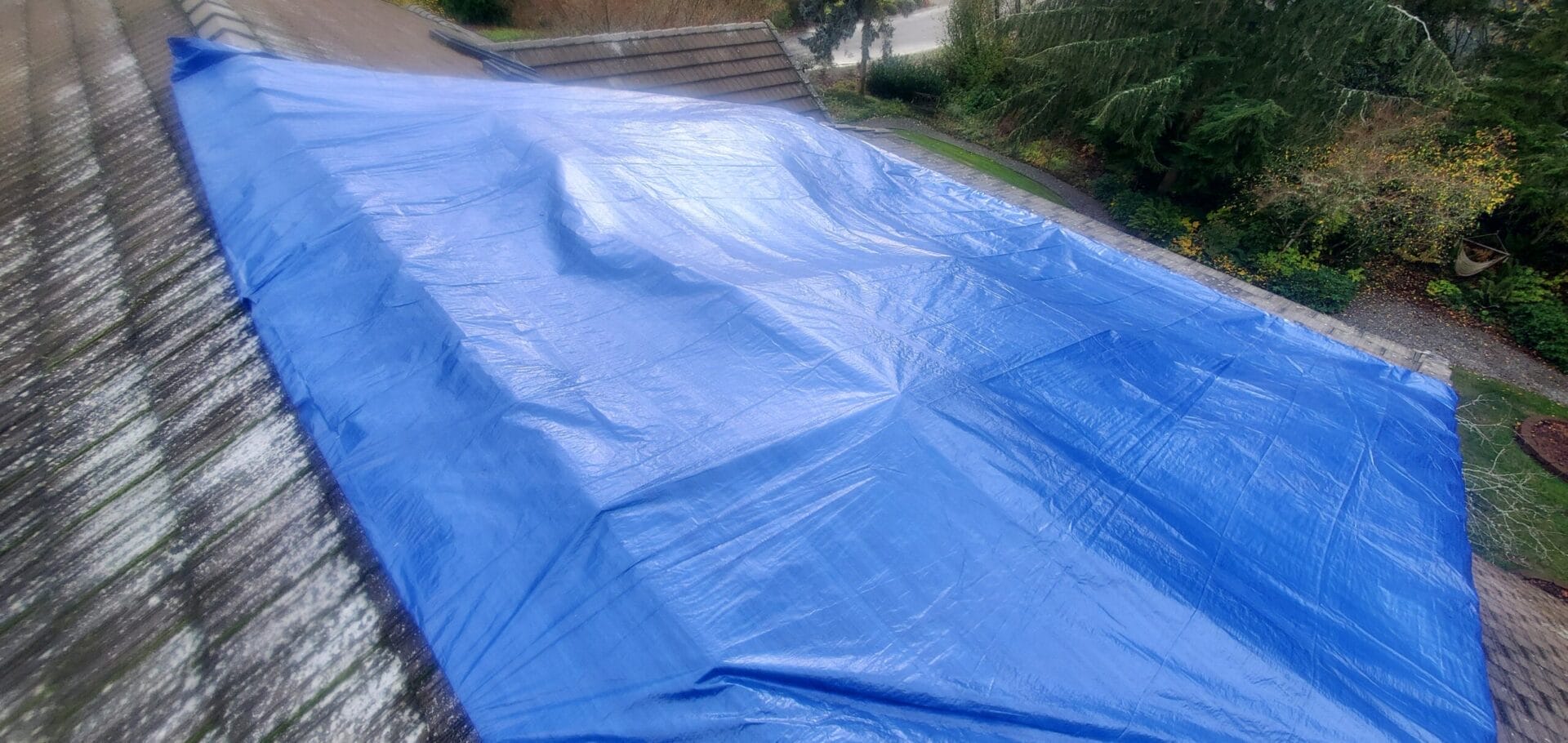 Top Roof and Driveway Cleaning Mistakes Homeowners Make