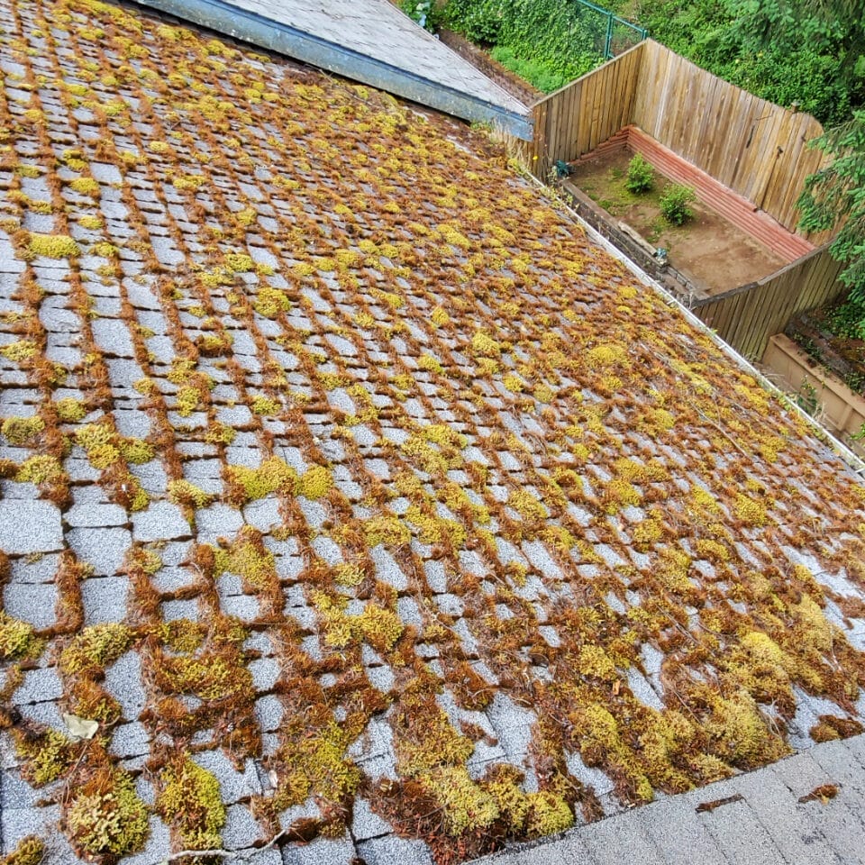 pnw moss removal website images for roof cleaning, gutter cleaning and pressure washing in kitsap county