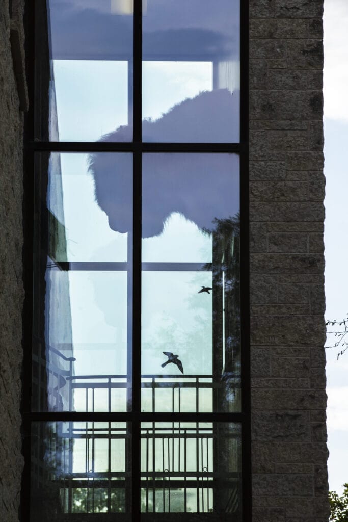 PNW Moss Removal providing expert roof and exterior cleaning services in the Pacific Northwest.