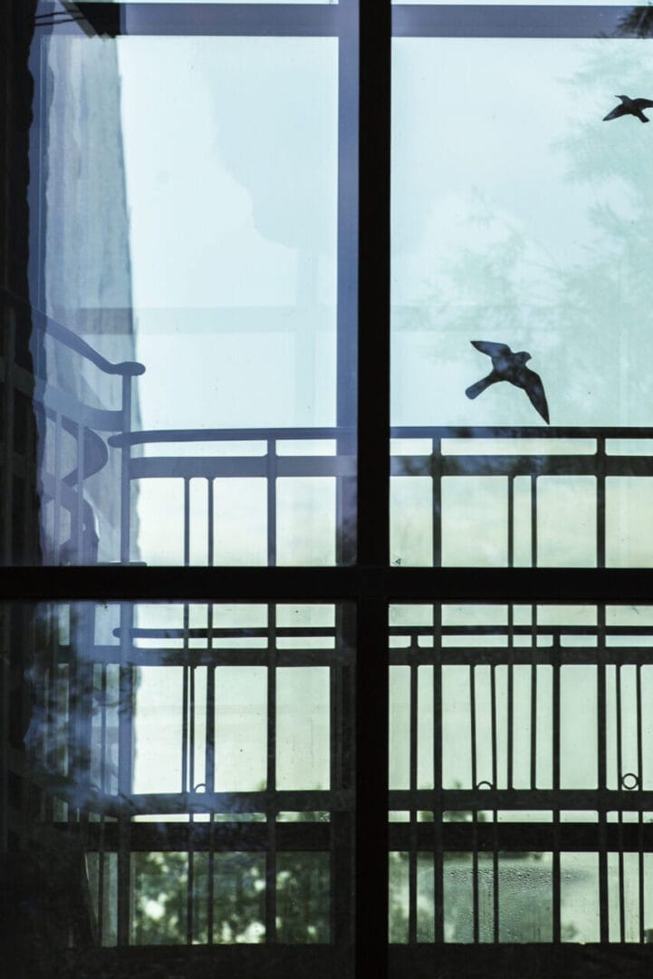 pnw moss removal website images for roof cleaning, gutter cleaning and pressure washing in kitsap county