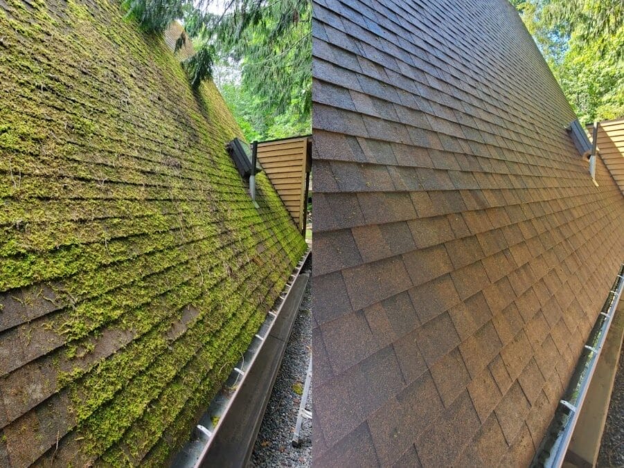 Before and after roof cleaning Kitsap County, Moss removal results Puget Sound